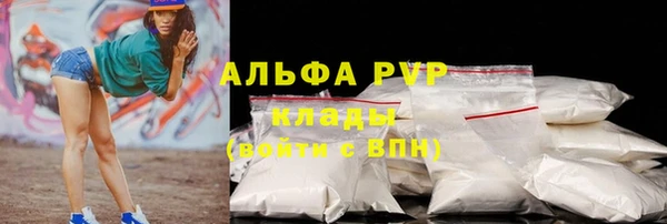 индика Ступино
