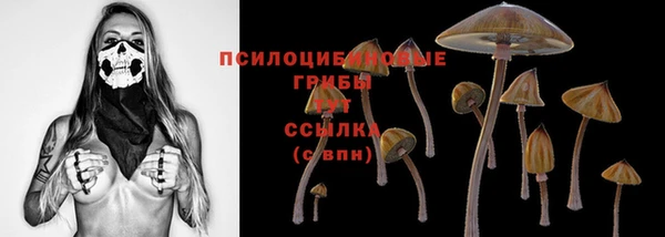 сатива Липки