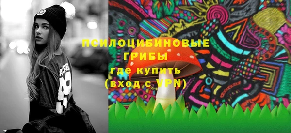 сатива Липки